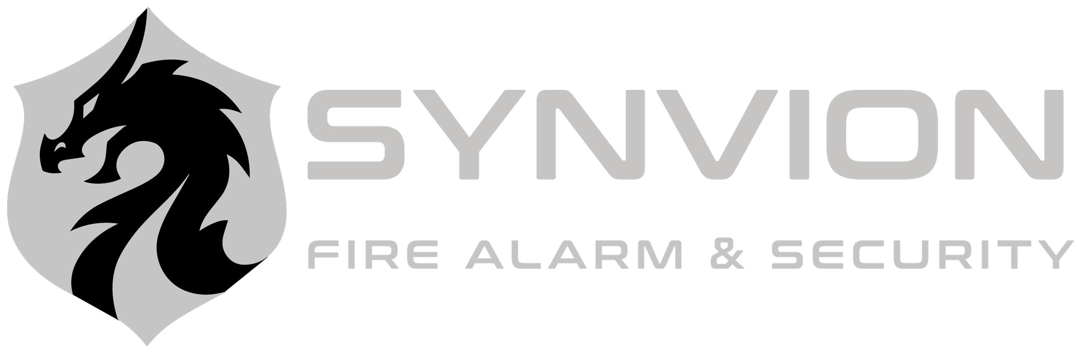 Synvion-20